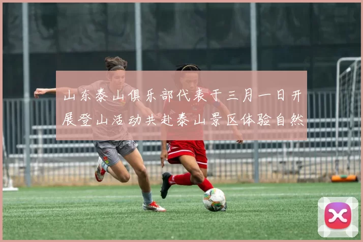 山东泰山俱乐部代表于三月一日开展登山活动共赴泰山景区体验自然之美